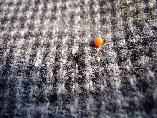 Harris-Tweed-Sakko kariert mit Loch